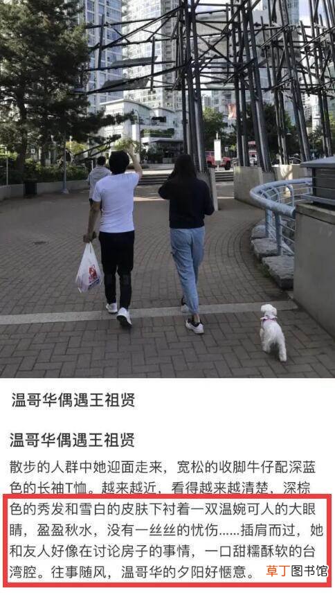 独自一人遛狗肤白温柔似少女 网友温哥华偶遇王祖贤遛狗