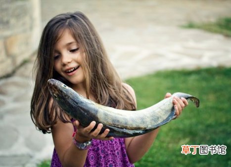 宝宝怎么吃鱼才健康 9个月宝宝适合吃什么鱼