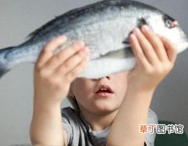 宝宝怎么吃鱼才健康 9个月宝宝适合吃什么鱼