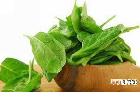 高血压怎么办？五种蔬菜帮助中老年人降压