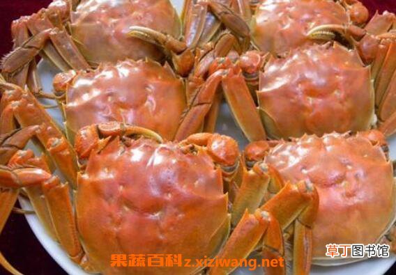 清水蟹怎么做好吃 清水蟹的做法步骤教程