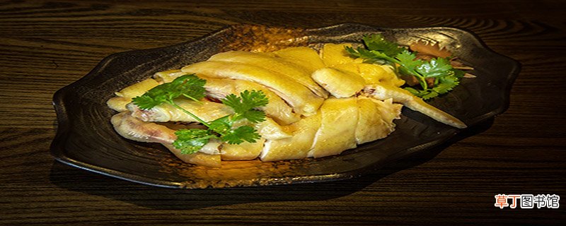 白切鸡属于什么菜系
