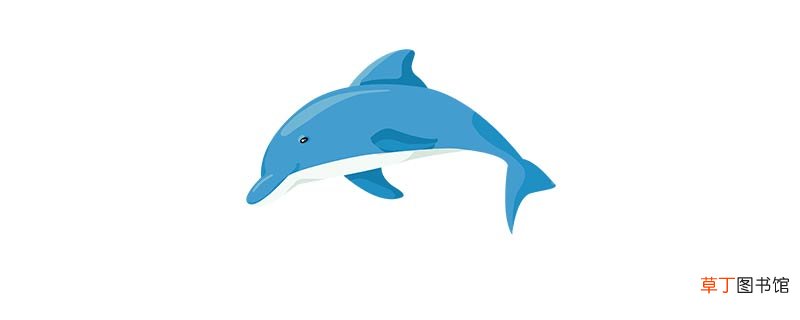 海豚的寓意是什么