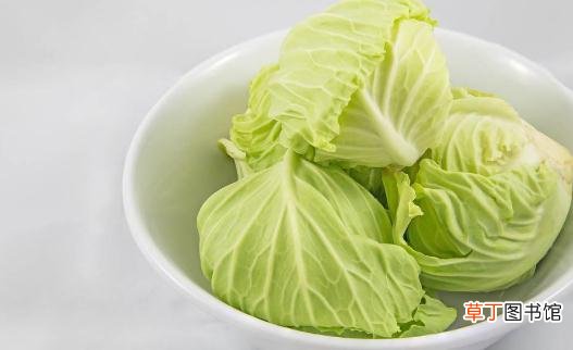 男人聪明不“绝顶”秘诀 每周吃一次鱼有效护心
