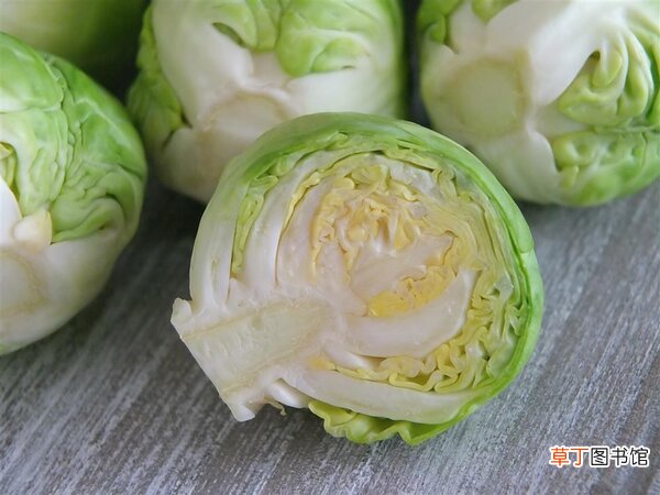这种“血液清洁工”有助降三高减胃痛，只要两块钱
