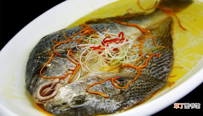 大黄鱼之乡在福建的什么地方