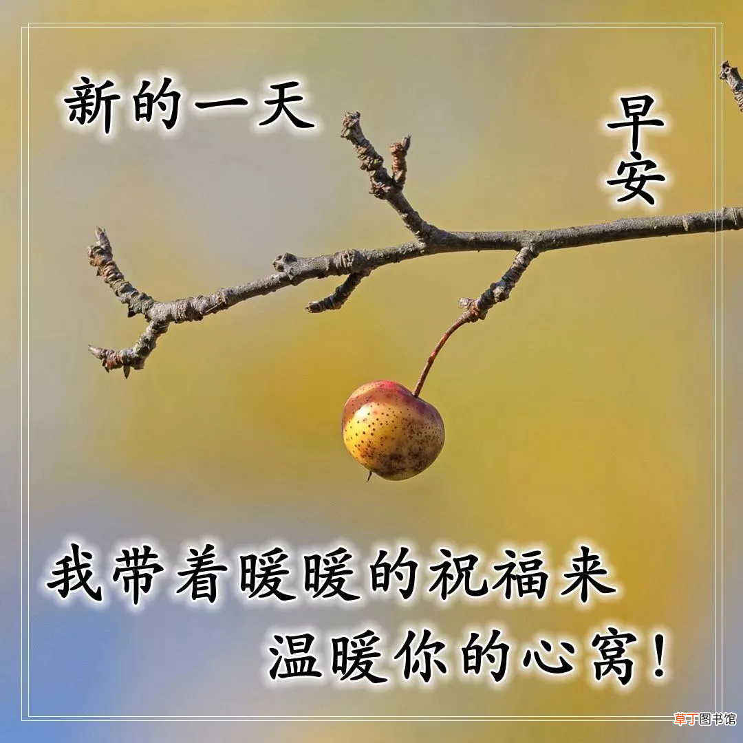 早上好的问候美句有哪些,早上问候语大全