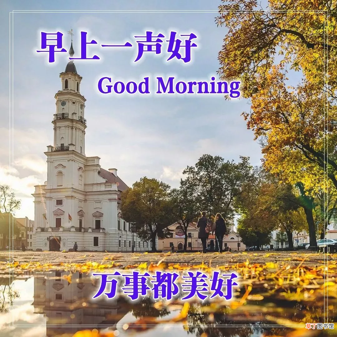 早上好的问候美句有哪些,早上问候语大全
