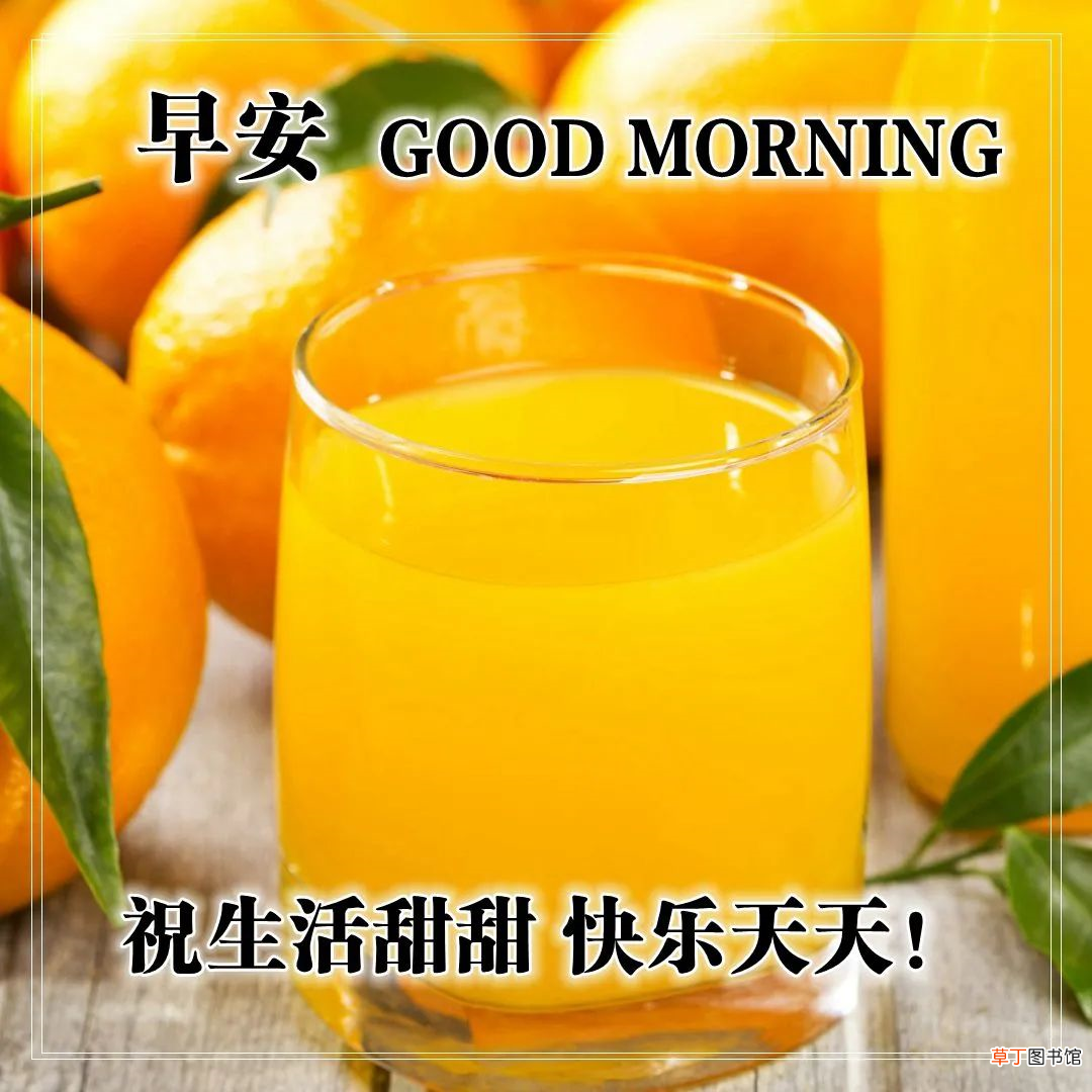 早上好的问候美句有哪些,早上问候语大全