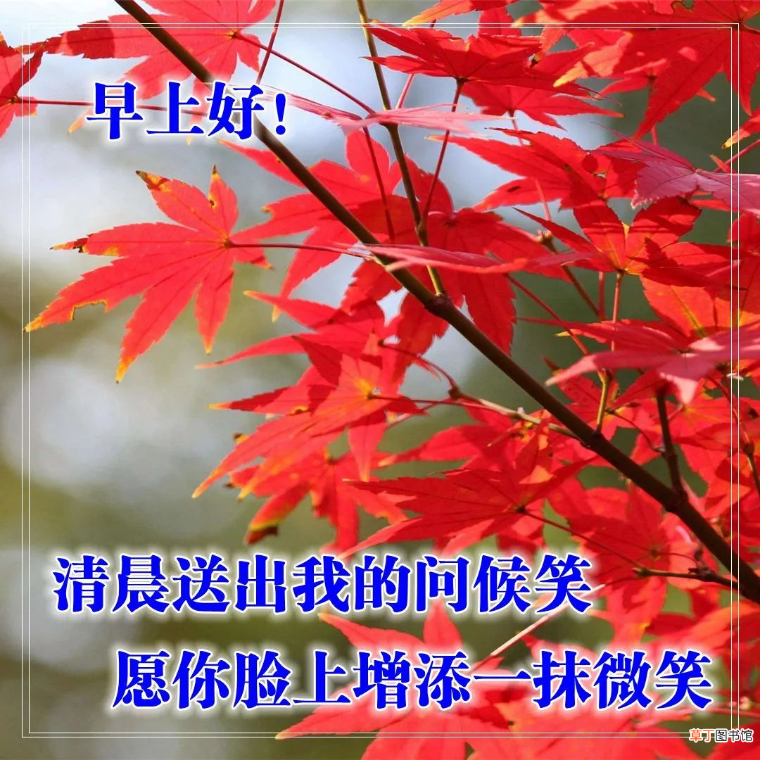 早上好的问候美句有哪些,早上问候语大全