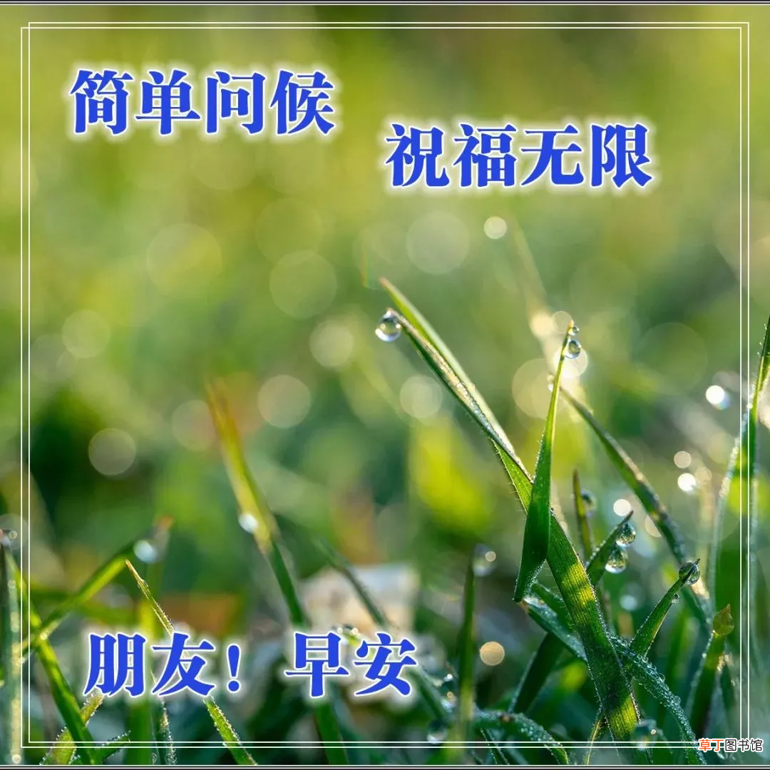 早上好的问候美句有哪些,早上问候语大全