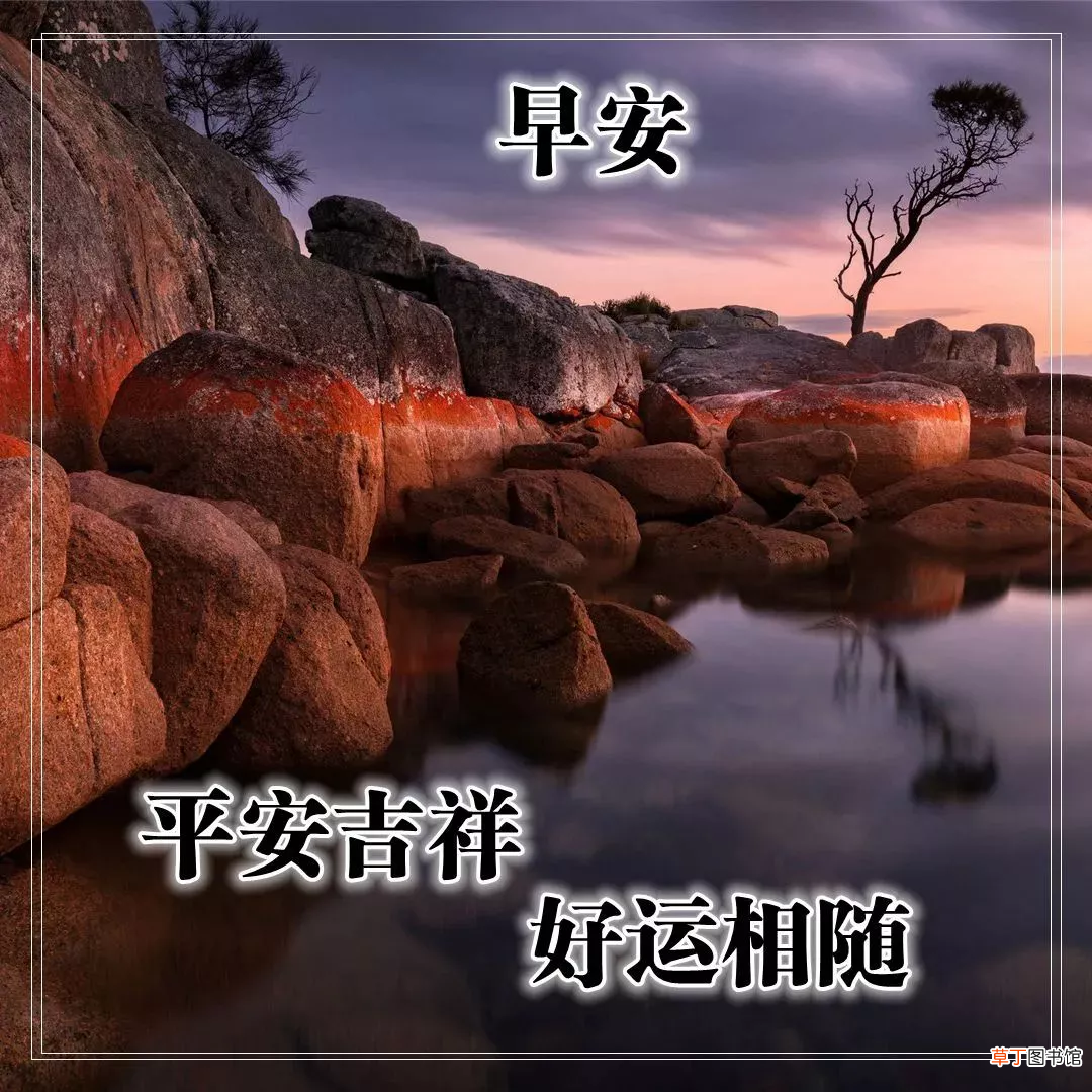 早上好的问候美句有哪些,早上问候语大全
