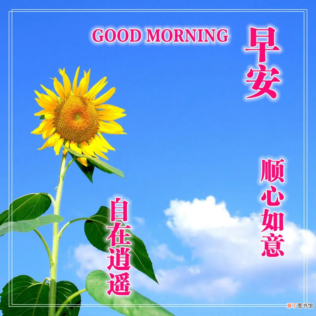 早上好的问候美句有哪些,早上问候语大全