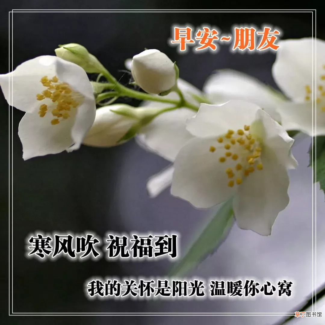 早上好的问候美句有哪些,早上问候语大全