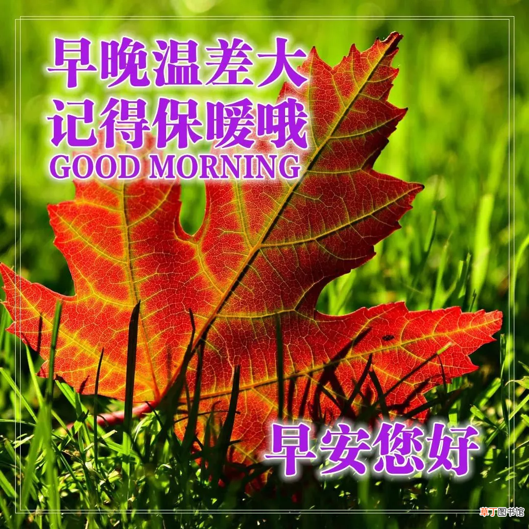 早上好的问候美句有哪些,早上问候语大全