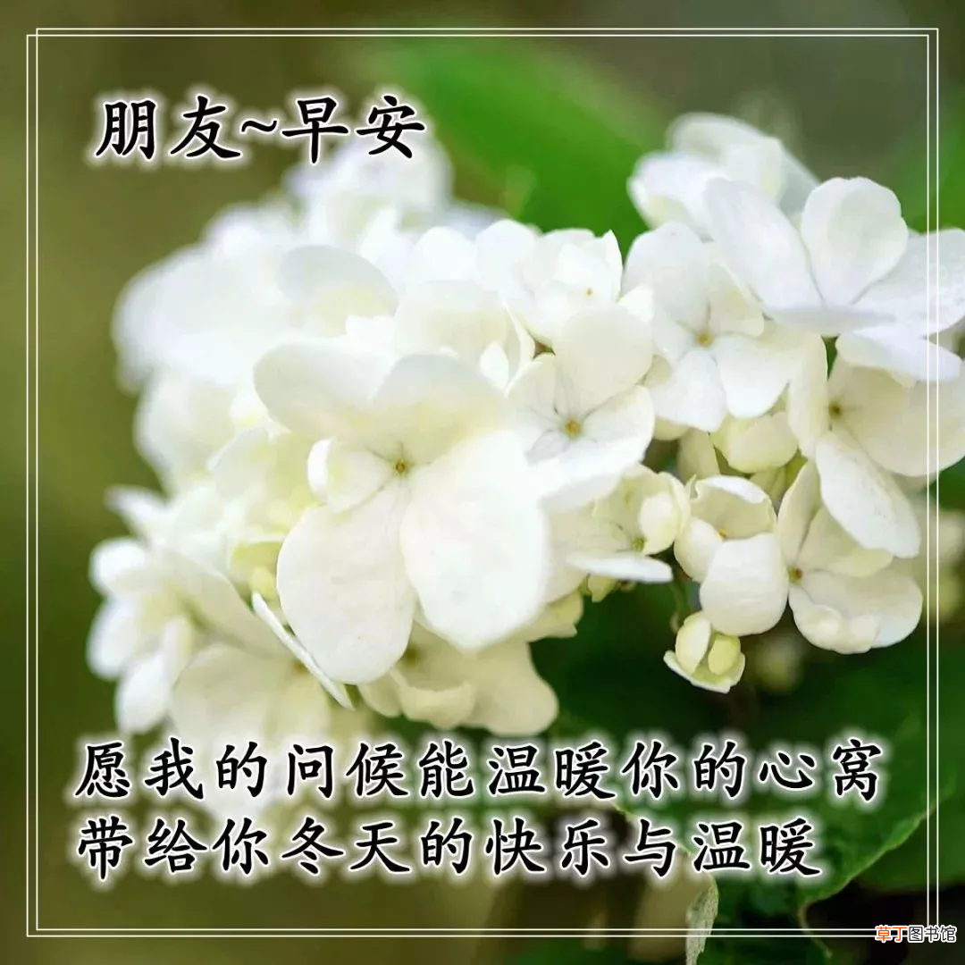 早上好的问候美句有哪些,早上问候语大全