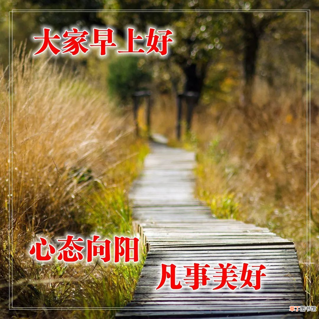 早上好的问候美句有哪些,早上问候语大全