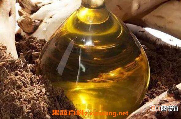 檀香精油的功效与作用及使用方法