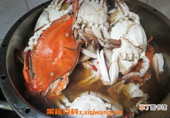 怎么煮螃蟹 煮螃蟹的做法步骤