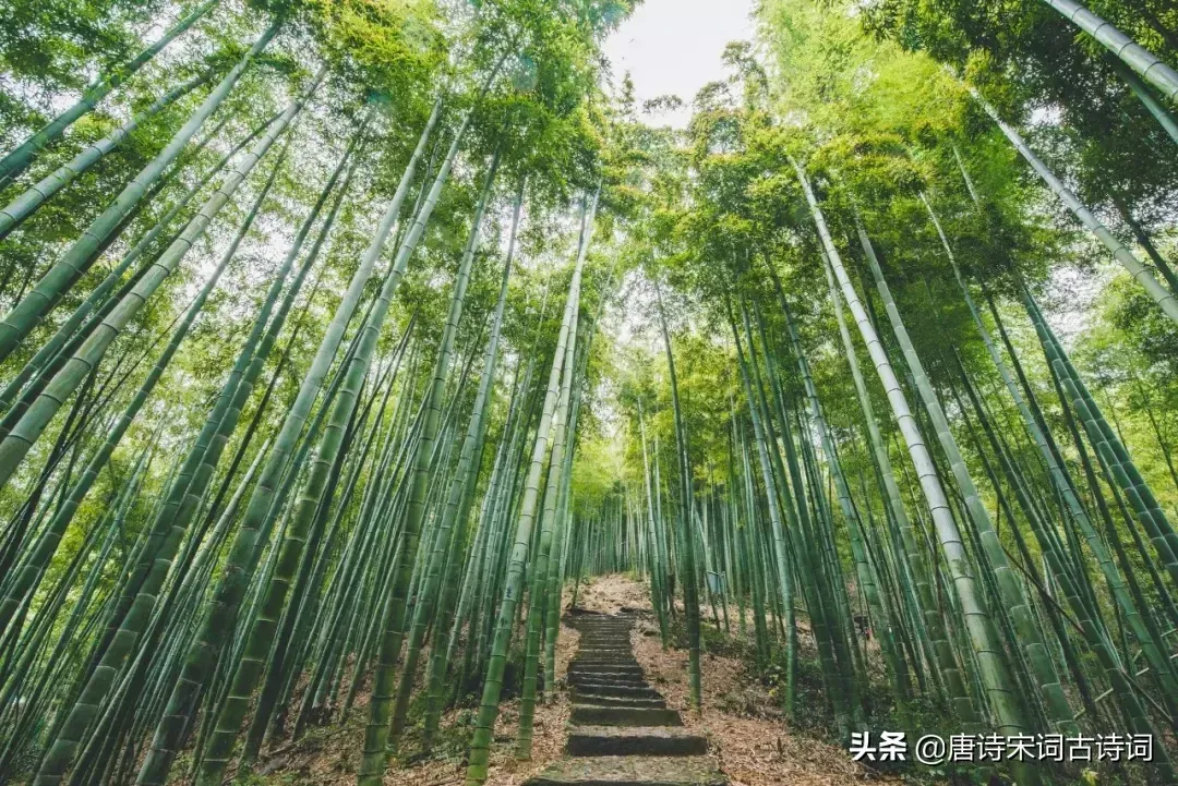 辛弃疾最有名的25首诗词 辛弃疾诗词