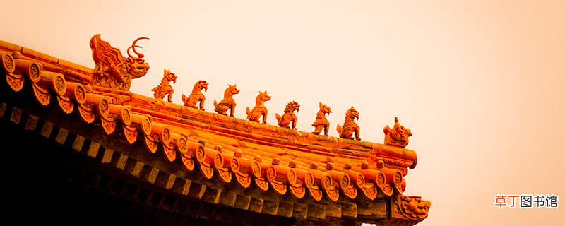 天下第一是指什么动物