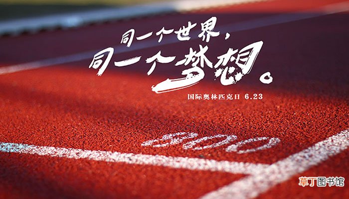 北京奥运会是谁点燃的火炬