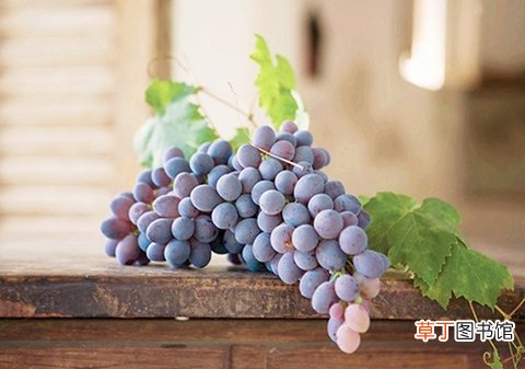 老人贫血怎么调理？ 常吃这四种食物可补血