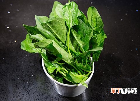 老人贫血怎么调理？ 常吃这四种食物可补血