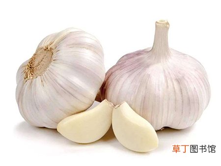 男性必知冬季养生小常识 这些日常食物最养人
