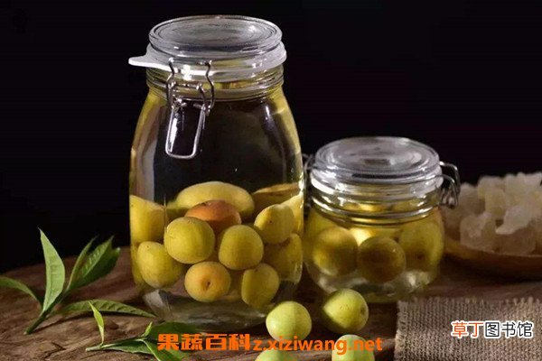 青梅酒的害处 喝青梅酒的禁忌