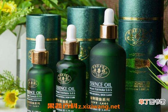 冷杉精油的功效与作用 冷杉精油的用途有哪些