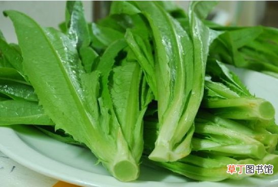 油麦菜的功效 -油麦菜的营养价值