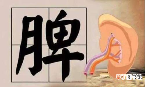 男人的“那里”总是湿湿的是病吗？可能是这几个原因