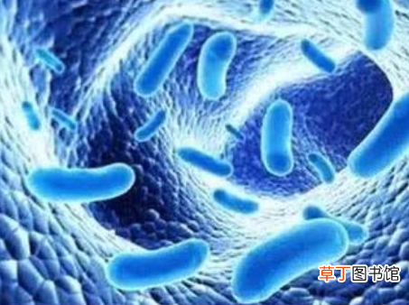 益生菌再好也非多多益善 益生菌怎么补充好