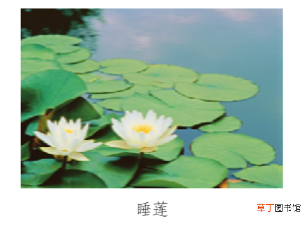 “轻声字”怎么标调和读音? 轻声的拼音