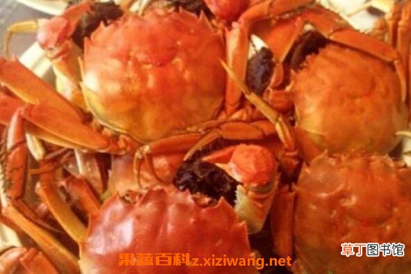 螃蟹不能和什么一起吃 螃蟹与什么食物相克