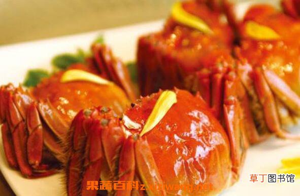 螃蟹不能和什么一起吃 螃蟹与什么食物相克