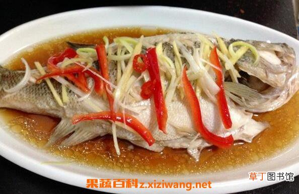 鲈鱼的功效与作用 吃鲈鱼的好处有哪些
