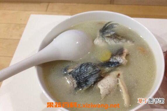 黑鱼怎么吃 黑鱼的家常做法大全
