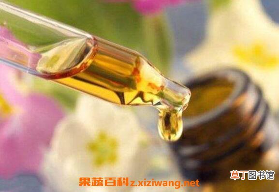 精油护发的功效与作用 精油护发的用法