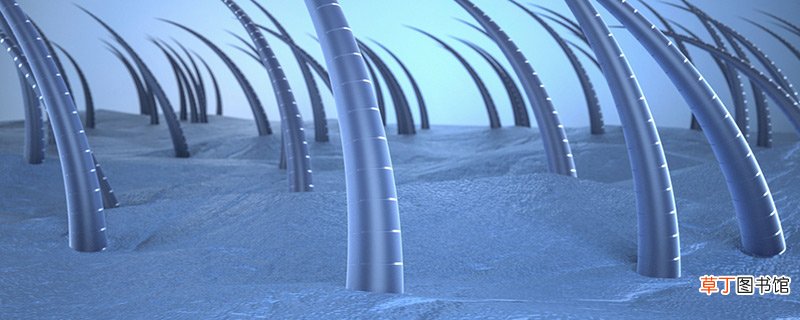 染发的具体化学原理