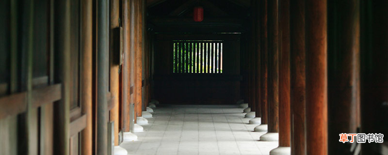 躺平和佛系的具体区别