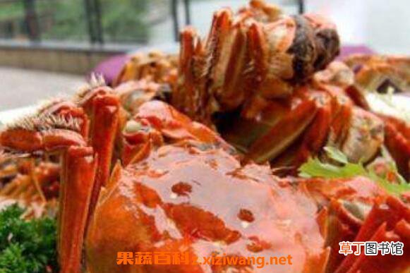 螃蟹怎么分辨屎和蟹黄 螃蟹什么地方不能吃