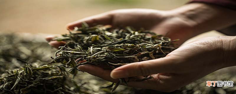 我国的茶圣是谁