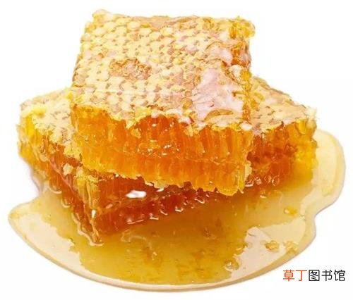 男补肾壮阳的最佳食物-七种男性补肾壮阳的最佳食物推荐