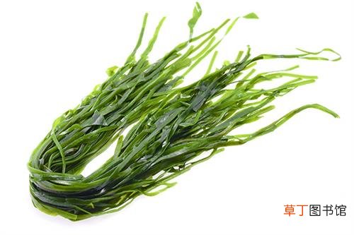 男补肾壮阳的最佳食物-七种男性补肾壮阳的最佳食物推荐