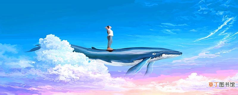 海豚属于国家几级保护