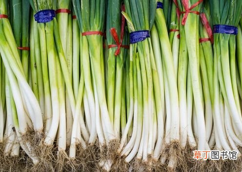 男性健康需要自己多多关注，多食用这几种食物增加雄激素