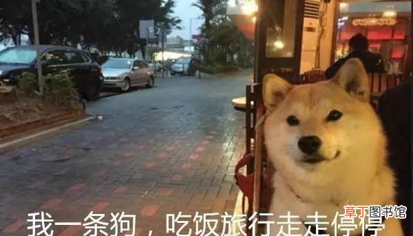 短命的男人都有这几大共性，最后一条扎心了