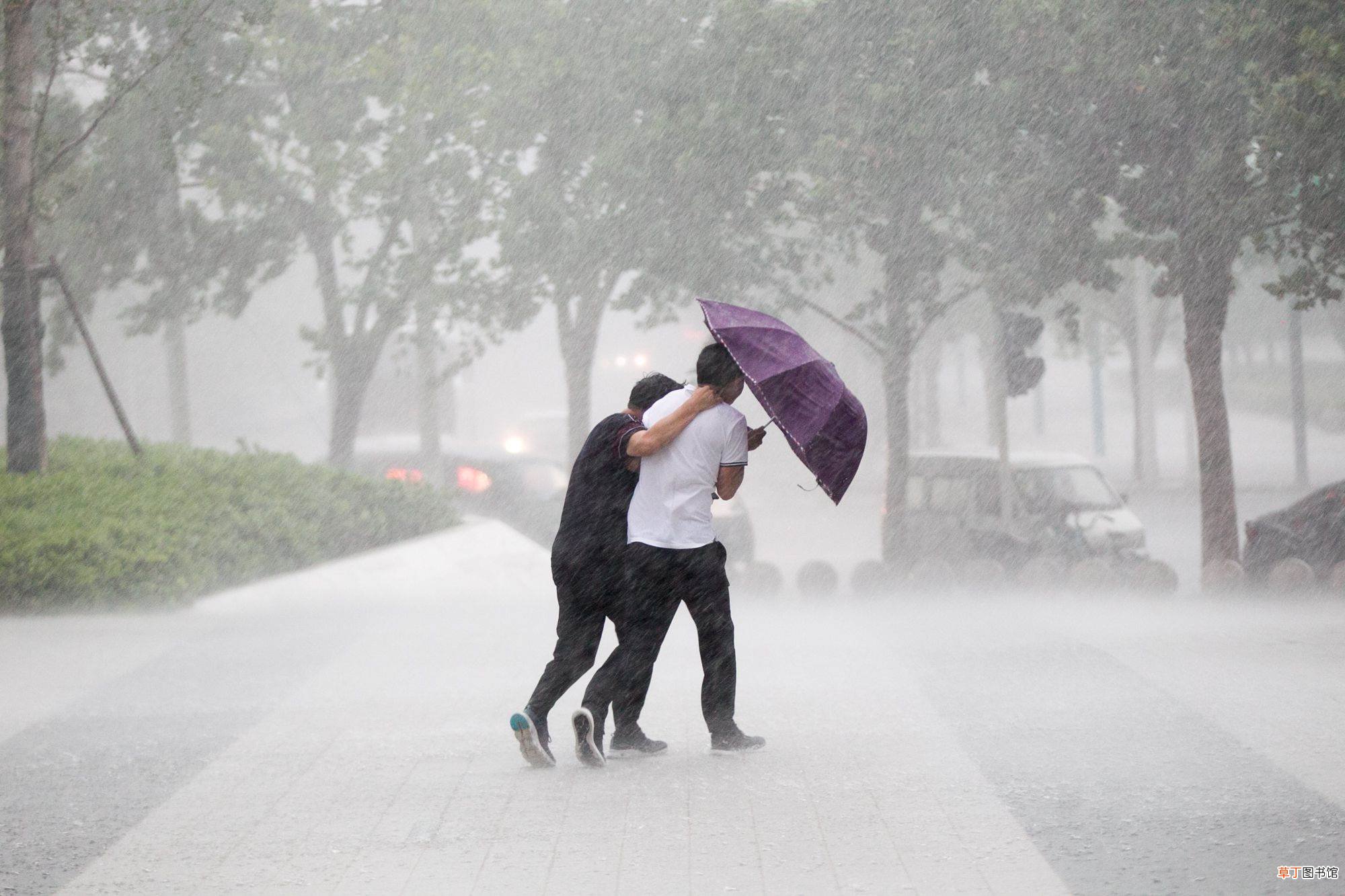 暴雨自救指南?暴雨来临前如何采取防范措施